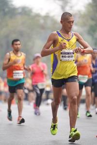 BIB: 48130
                            <button type="button" onclick="openModal(8316877)" class="btn btn-primary btn-sm float-right btn-popup" data-toggle="modal" data-target=".modal-high-quality">
                        <i class="fas fa-shopping-cart"></i> Add to Cart
                    </button>
                                            <button type="button" onclick="isThisMe(8316877, true)" class="btn btn-success btn-sm float-right btn-popup btn-isme hidden" data-toggle="tooltip" data-placement="bottom" title="นี่คือรูปของคุณใช่ไหม คลิกที่นี่เพื่อเอาเข้าอัลบั้ม">
                        <i class="fas fa-plus"></i> Add to album
                    </button>
                    <button type="button" onclick="isThisMe(8316877, false)" class="btn btn-warning btn-sm float-right btn-popup btn-isnotme hidden">
                        <i class="fas fa-ban"></i> Remove from album
                    </button>